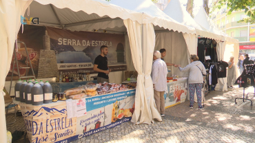 Feira da Venteira Celebra Aniversário do Município