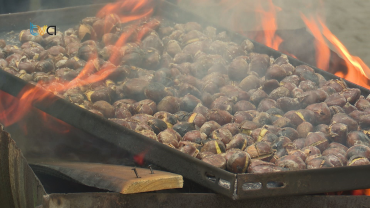 Falagueira-Venda Nova Celebra São Martinho com a População