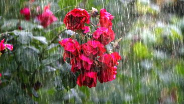 IPMA Coloca Distrito de Lisboa Sob Aviso Amarelo