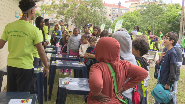 Agentes de Proteção Civil e Escolas Reúnem para 