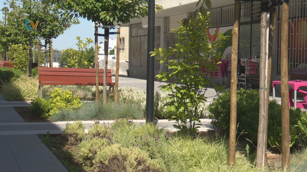 Renovada Rua Alberto Aldim Dá Nova Imagem ao Coração de Alfragide